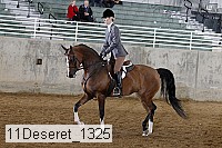 11deseret_1325 thumbnail