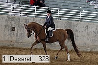 11deseret_1328 thumbnail