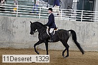 11deseret_1329 thumbnail