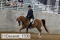 11deseret_1330 thumbnail