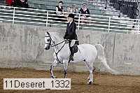 11deseret_1332 thumbnail