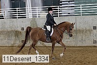 11deseret_1334 thumbnail