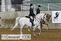 11deseret_1336 thumbnail