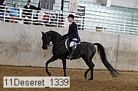 11deseret_1339 thumbnail