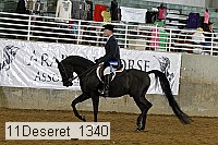 11deseret_1340 thumbnail