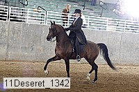 11deseret_1342 thumbnail