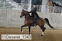 11deseret_1343 thumbnail