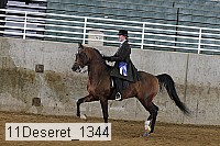 11deseret_1344 thumbnail