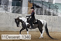 11deseret_1346 thumbnail