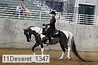 11deseret_1347 thumbnail