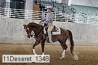 11deseret_1348 thumbnail