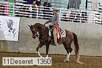 11deseret_1350 thumbnail