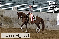 11deseret_1351 thumbnail