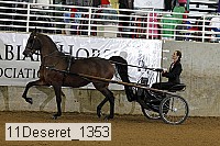 11deseret_1353 thumbnail