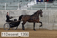 11deseret_1356 thumbnail