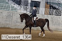 11deseret_1364 thumbnail