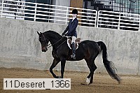 11deseret_1366 thumbnail