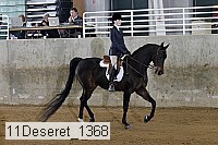 11deseret_1368 thumbnail