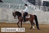 11deseret_1375 thumbnail