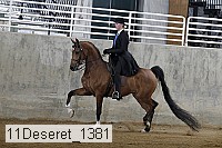 11deseret_1381 thumbnail