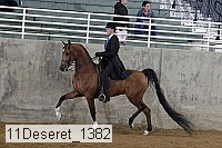 11deseret_1382 thumbnail