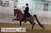 11deseret_1383 thumbnail