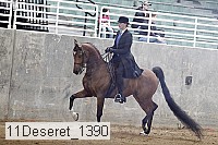 11deseret_1390 thumbnail