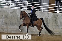 11deseret_1391 thumbnail