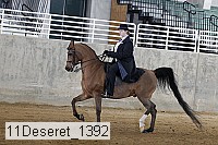 11deseret_1392 thumbnail