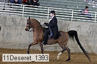 11deseret_1393 thumbnail