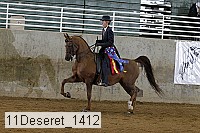 11deseret_1412 thumbnail