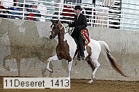 11deseret_1413 thumbnail