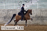 11deseret_1439 thumbnail