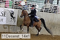 11deseret_1441 thumbnail