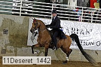 11deseret_1442 thumbnail