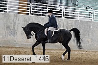 11deseret_1446 thumbnail