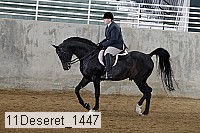 11deseret_1447 thumbnail