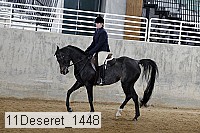 11deseret_1448 thumbnail