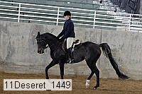 11deseret_1449 thumbnail