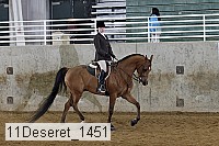 11deseret_1451 thumbnail