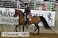 11deseret_1453 thumbnail