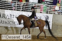 11deseret_1454 thumbnail
