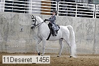 11deseret_1456 thumbnail