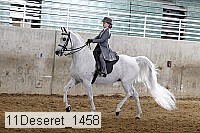 11deseret_1458 thumbnail