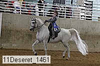 11deseret_1461 thumbnail
