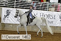 11deseret_1462 thumbnail