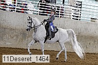 11deseret_1464 thumbnail