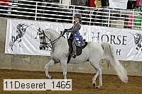 11deseret_1465 thumbnail