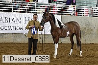 11deseret_0858 thumbnail
