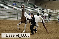 11deseret_0883 thumbnail